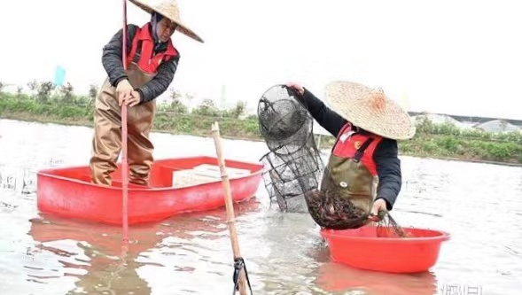 潛江5.jpg